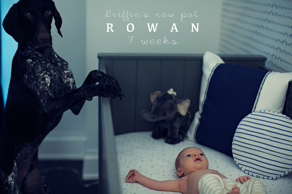 Rowan_7Weeks_Preview_001