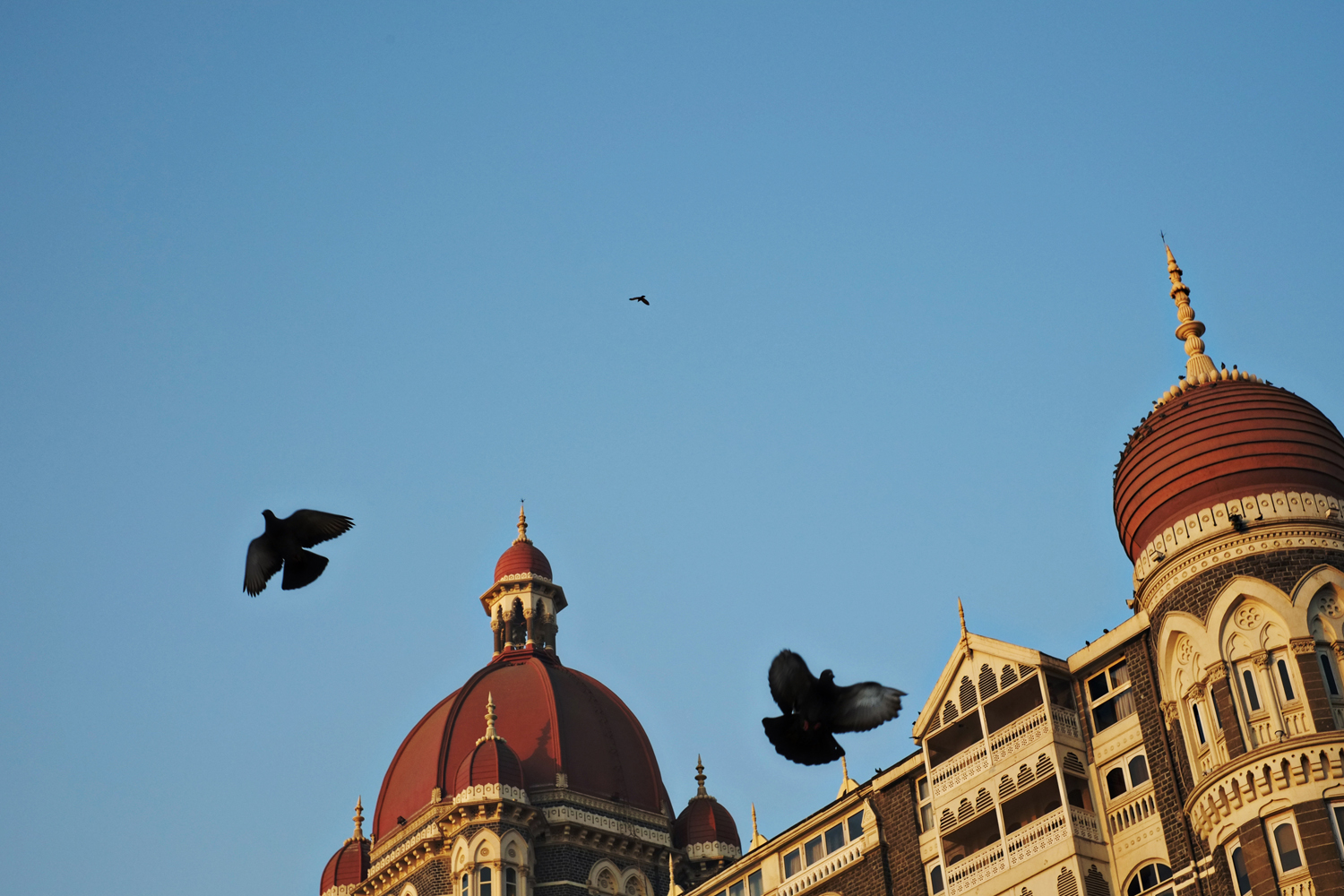Taj Mahal hotel Mumbai with Pigeons