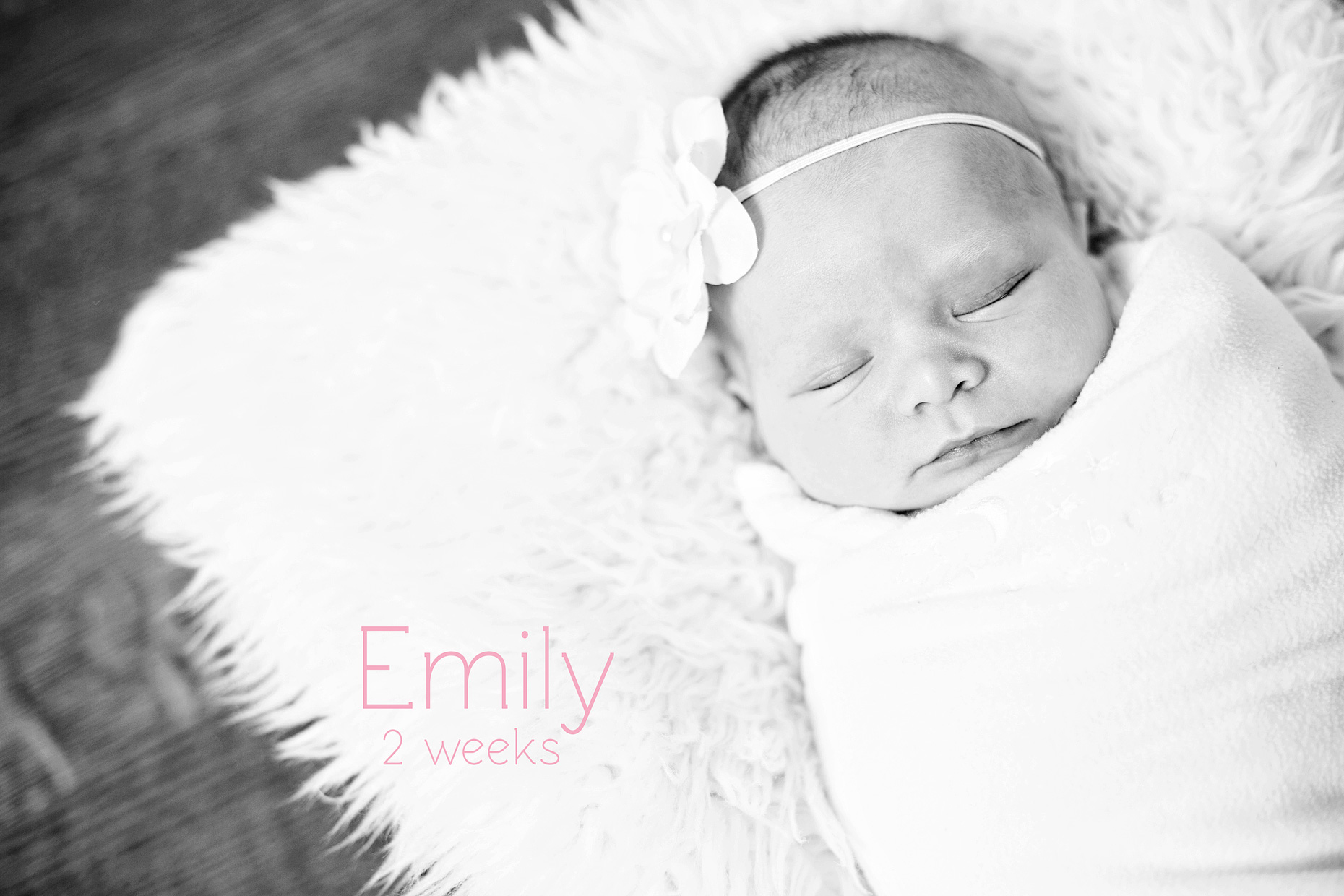 WelcomeEmily_001