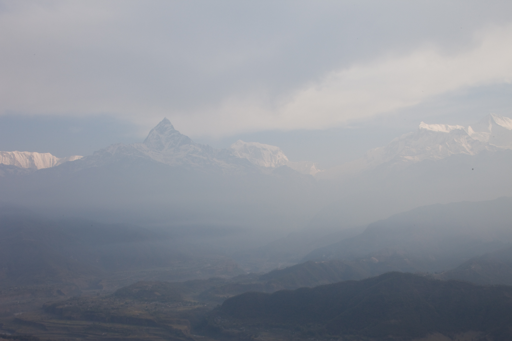 _MG_2537.jpg